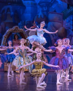 American Midwest Ballet: The Nutcracker