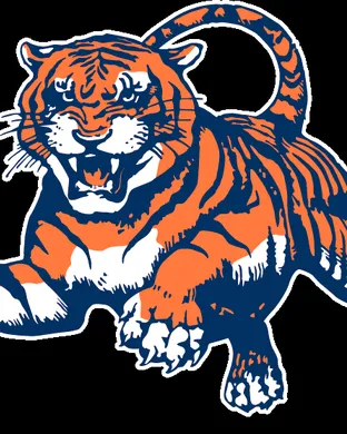 Auburn Tigers Omaha