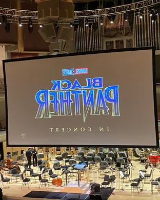 Black Panther in Concert
