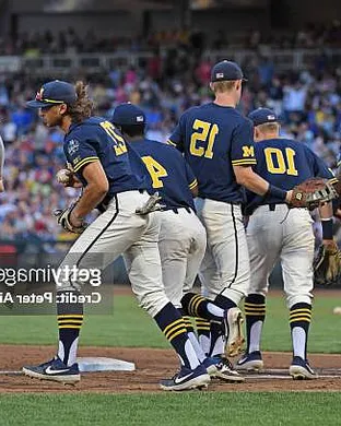 Michigan Wolverines Baseball Ann Arbor