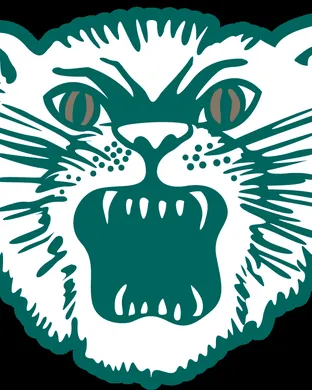 Ohio Bobcats Lincoln