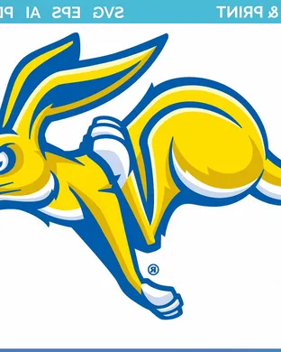 South Dakota State Jackrabbits Omaha