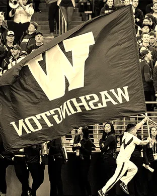 Washington Huskies Lincoln